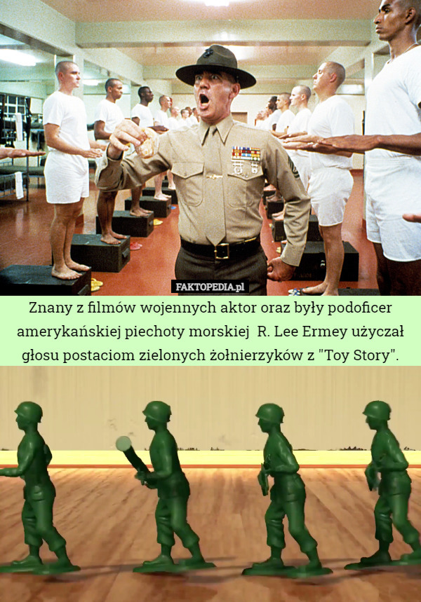 Znany z filmów wojennych aktor oraz były podoficer amerykańskiej piechoty morskiej  R. Lee Ermey użyczał głosu postaciom zielonych żołnierzyków z "Toy Story". 