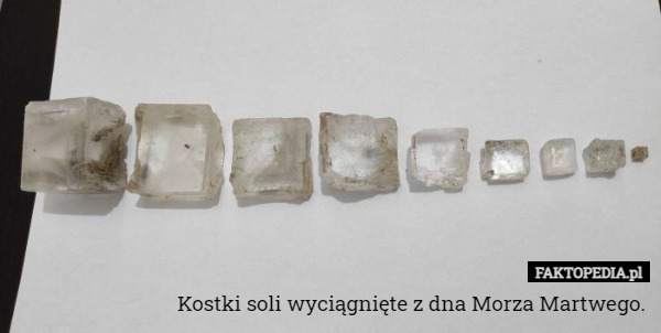 Kostki soli wyciągnięte z dna Morza Martwego. 