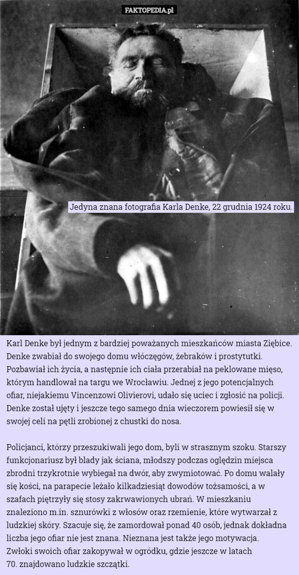 Jedyna znana fotografia Karla Denke, 22 grudnia 1924 roku. Karl Denke był jednym z bardziej poważanych mieszkańców miasta Ziębice. Denke zwabiał do swojego domu włóczęgów, żebraków i prostytutki. Pozbawiał ich życia, a następnie ich ciała przerabiał na peklowane mięso, którym handlował na targu we Wrocławiu. Jednej z jego potencjalnych ofiar, niejakiemu Vincenzowi Olivierovi, udało się uciec i zgłosić na policji. Denke został ujęty i jeszcze tego samego dnia wieczorem powiesił się w swojej celi na pętli zrobionej z chustki do nosa.

Policjanci, którzy przeszukiwali jego dom, byli w strasznym szoku. Starszy funkcjonariusz był blady jak ściana, młodszy podczas oględzin miejsca zbrodni trzykrotnie wybiegał na dwór, aby zwymiotować. Po domu walały się kości, na parapecie leżało kilkadziesiąt dowodów tożsamości, a w szafach piętrzyły się stosy zakrwawionych ubrań. W mieszkaniu znaleziono m.in. sznurówki z włosów oraz rzemienie, które wytwarzał z ludzkiej skóry. Szacuje się, że zamordował ponad 40 osób, jednak dokładna liczba jego ofiar nie jest znana. Nieznana jest także jego motywacja.
 Zwłoki swoich ofiar zakopywał w ogródku, gdzie jeszcze w latach
 70. znajdowano ludzkie szczątki. 