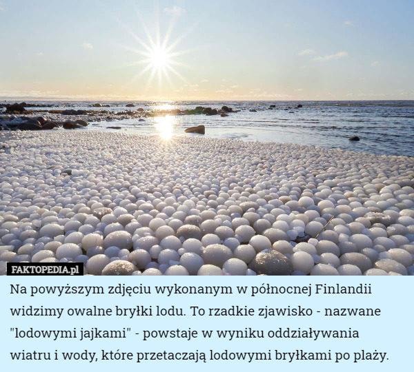 Na powyższym zdjęciu wykonanym w północnej Finlandii widzimy owalne bryłki lodu. To rzadkie zjawisko - nazwane "lodowymi jajkami" - powstaje w wyniku oddziaływania
 wiatru i wody, które przetaczają lodowymi bryłkami po plaży. 