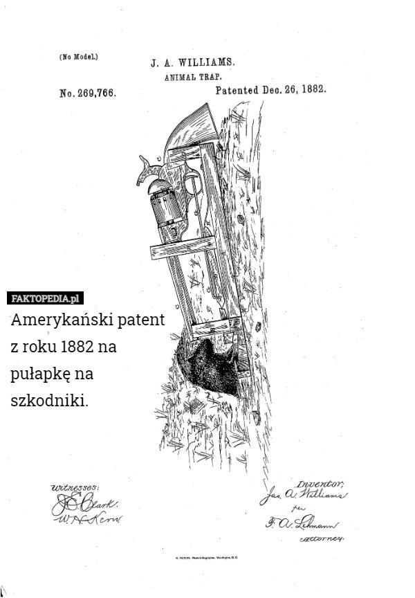 Amerykański patent z roku 1882 na pułapkę na szkodniki. 