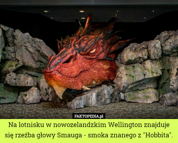 Na lotnisku w nowozelandzkim Wellington znajduje się rzeźba głowy Smauga - smoka znanego z "Hobbita". 