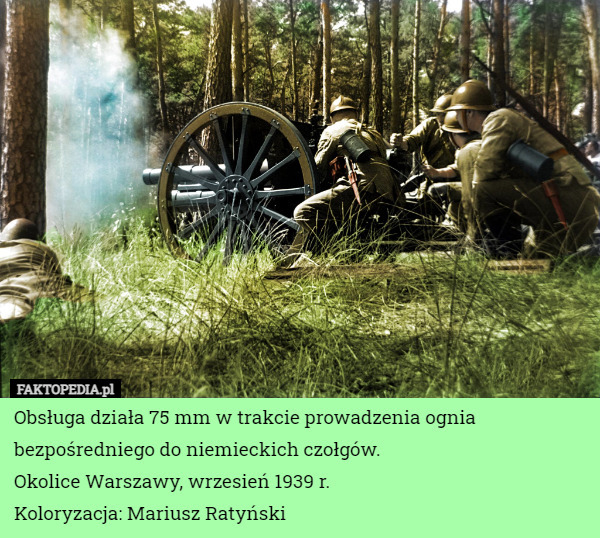 Obsługa działa 75 mm w trakcie prowadzenia ognia bezpośredniego do niemieckich czołgów.
Okolice Warszawy, wrzesień 1939 r.
Koloryzacja: Mariusz Ratyński 
