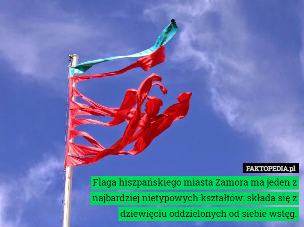 Flaga hiszpańskiego miasta Zamora ma jeden z najbardziej nietypowych kształtów: składa się z dziewięciu oddzielonych od siebie wstęg. 