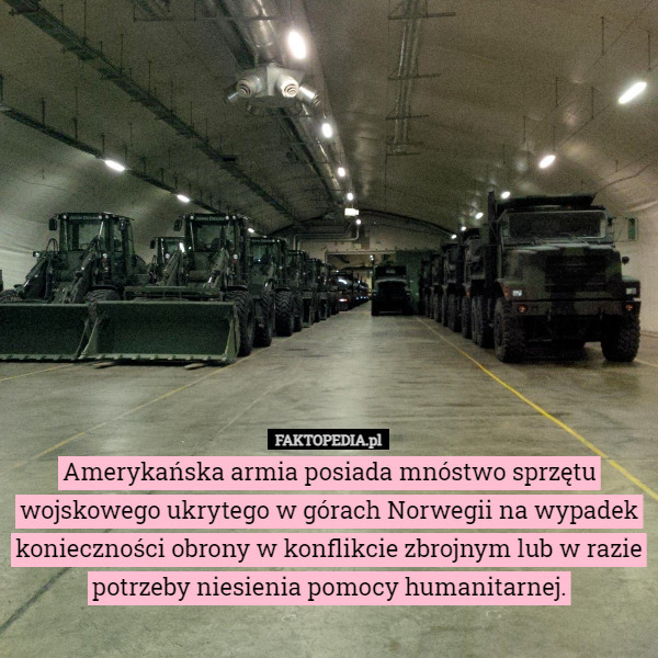 Amerykańska armia posiada mnóstwo sprzętu wojskowego ukrytego w górach Norwegii na wypadek konieczności obrony w konflikcie zbrojnym lub w razie potrzeby niesienia pomocy humanitarnej. 