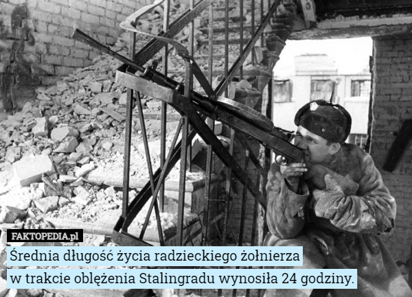 Średnia długość życia radzieckiego żołnierza
w trakcie oblężenia Stalingradu wynosiła 24 godziny. 