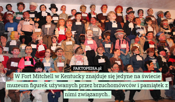 W Fort Mitchell w Kentucky znajduje się jedyne na świecie muzeum figurek używanych przez brzuchomówców i pamiątek z nimi związanych.. 