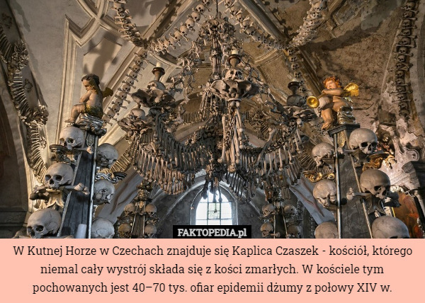 W Kutnej Horze w Czechach znajduje się Kaplica Czaszek - kościół, którego niemal cały wystrój składa się z kości zmarłych. W kościele tym pochowanych jest 40–70 tys. ofiar epidemii dżumy z połowy XIV w. 
