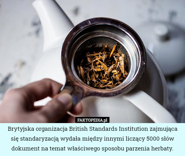 Brytyjska organizacja British Standards Institution zajmująca się standaryzacją wydała między innymi liczący 5000 słów dokument na temat właściwego sposobu parzenia herbaty. 