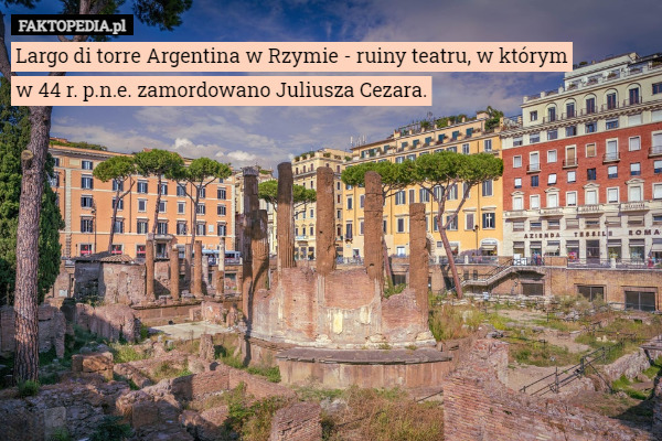 Largo di torre Argentina w Rzymie - ruiny teatru, w którym w 44 r. p.n.e. zamordowano Juliusza Cezara. 