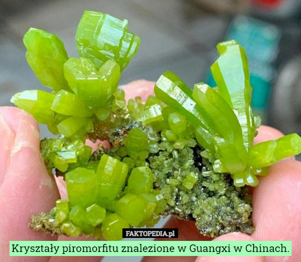 Kryształy piromorfitu znalezione w Guangxi w Chinach. 