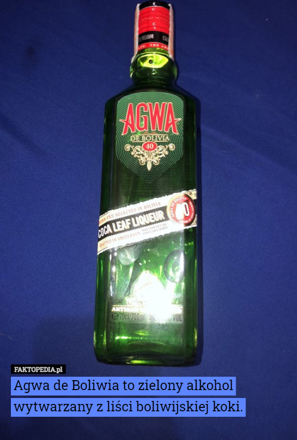 Agwa de Boliwia to zielony alkohol wytwarzany z liści boliwijskiej koki. 
