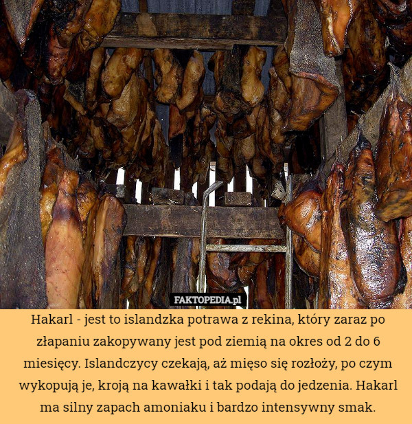 Hakarl - jest to islandzka potrawa z rekina, który zaraz po złapaniu zakopywany jest pod ziemią na okres od 2 do 6 miesięcy. Islandczycy czekają, aż mięso się rozłoży, po czym wykopują je, kroją na kawałki i tak podają do jedzenia. Hakarl ma silny zapach amoniaku i bardzo intensywny smak. 
