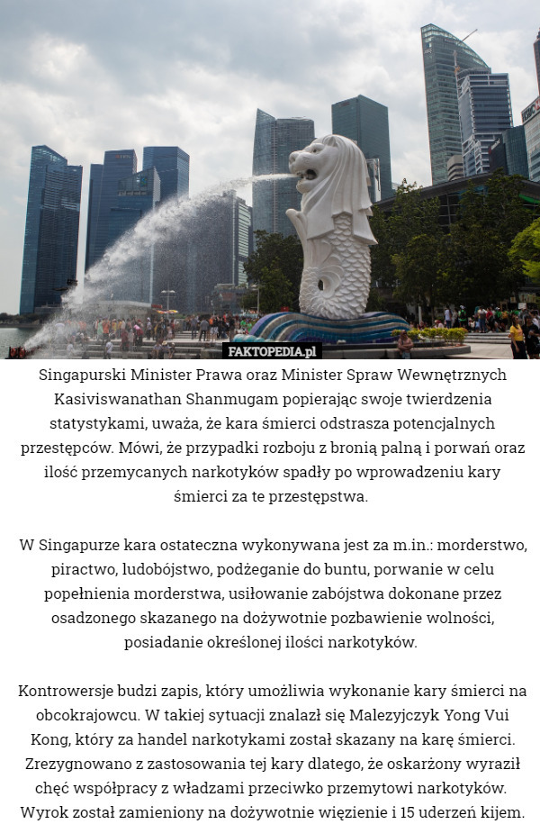 Singapurski Minister Prawa oraz Minister Spraw Wewnętrznych Kasiviswanathan Shanmugam popierając swoje twierdzenia statystykami, uważa, że kara śmierci odstrasza potencjalnych przestępców. Mówi, że przypadki rozboju z bronią palną i porwań oraz ilość przemycanych narkotyków spadły po wprowadzeniu kary śmierci za te przestępstwa. 

W Singapurze kara ostateczna wykonywana jest za m.in.: morderstwo, piractwo, ludobójstwo, podżeganie do buntu, porwanie w celu popełnienia morderstwa, usiłowanie zabójstwa dokonane przez osadzonego skazanego na dożywotnie pozbawienie wolności, posiadanie określonej ilości narkotyków. 

Kontrowersje budzi zapis, który umożliwia wykonanie kary śmierci na obcokrajowcu. W takiej sytuacji znalazł się Malezyjczyk Yong Vui Kong, który za handel narkotykami został skazany na karę śmierci. Zrezygnowano z zastosowania tej kary dlatego, że oskarżony wyraził chęć współpracy z władzami przeciwko przemytowi narkotyków.  Wyrok został zamieniony na dożywotnie więzienie i 15 uderzeń kijem. 