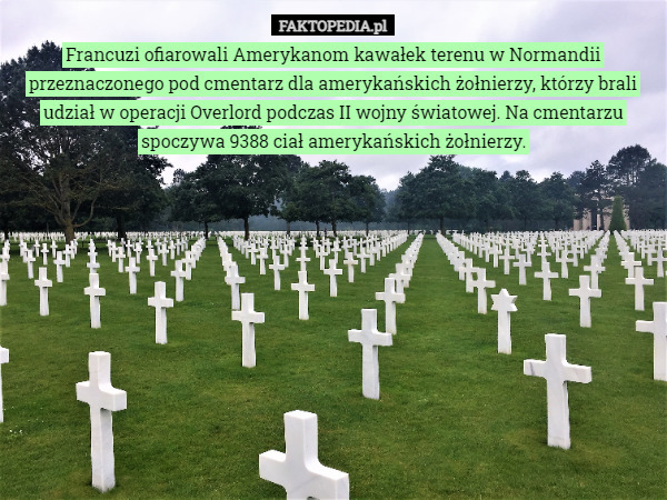 Francuzi ofiarowali Amerykanom kawałek terenu w Normandii przeznaczonego pod cmentarz dla amerykańskich żołnierzy, którzy brali udział w operacji Overlord podczas II wojny światowej. Na cmentarzu spoczywa 9388 ciał amerykańskich żołnierzy. 