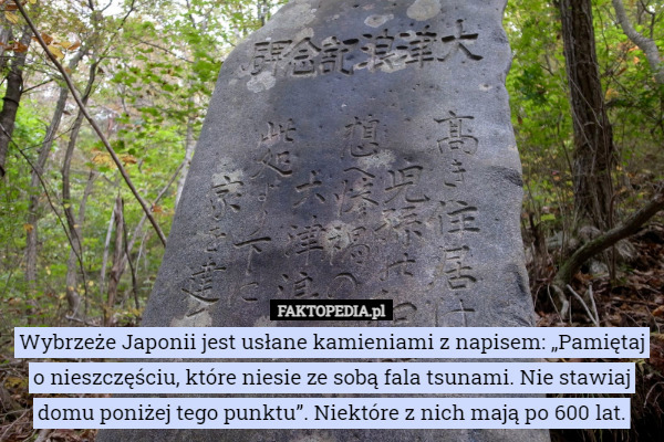 Wybrzeże Japonii jest usłane kamieniami z napisem: „Pamiętaj o nieszczęściu, które niesie ze sobą fala tsunami. Nie stawiaj domu poniżej tego punktu”. Niektóre z nich mają po 600 lat. 