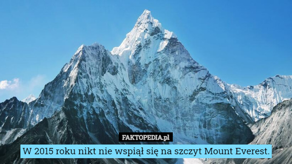 W 2015 roku nikt nie wspiął się na szczyt Mount Everest. 