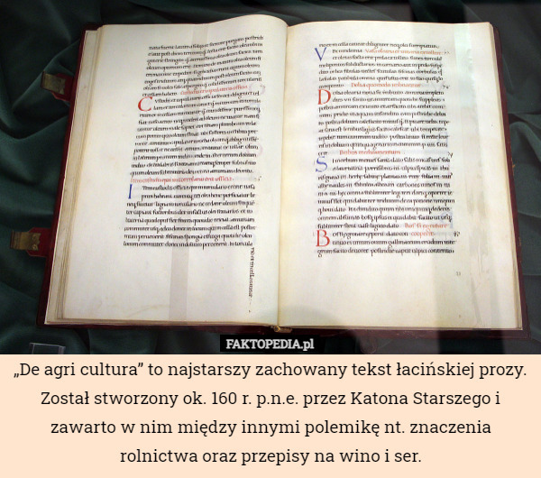 „De agri cultura” to najstarszy zachowany tekst łacińskiej prozy. Został stworzony ok. 160 r. p.n.e. przez Katona Starszego i zawarto w nim między innymi polemikę nt. znaczenia rolnictwa oraz przepisy na wino i ser. 