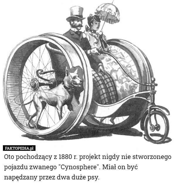 Oto pochodzący z 1880 r. projekt nigdy nie stworzonego pojazdu zwanego "Cynosphere". Miał on być napędzany przez dwa duże psy. 