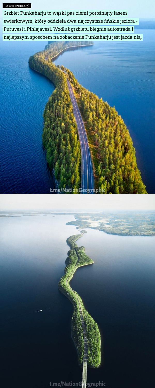 Grzbiet Punkaharju to wąski pas ziemi porośnięty lasem świerkowym, który oddziela dwa najczystsze fińskie jeziora - Puruvesi i Pihlajavesi. Wzdłuż grzbietu biegnie autostrada i najlepszym sposobem na zobaczenie Punkaharju jest jazda nią. 