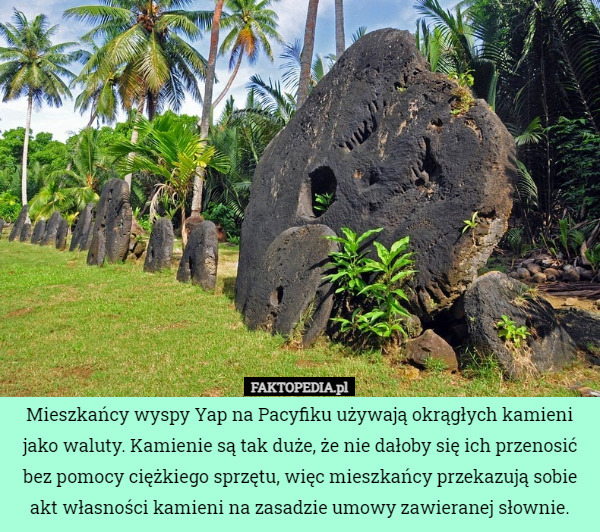 Mieszkańcy wyspy Yap na Pacyfiku używają okrągłych kamieni jako waluty. Kamienie są tak duże, że nie dałoby się ich przenosić bez pomocy ciężkiego sprzętu, więc mieszkańcy przekazują sobie akt własności kamieni na zasadzie umowy zawieranej słownie. 