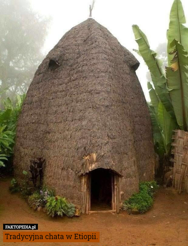 Tradycyjna chata w Etiopii. 