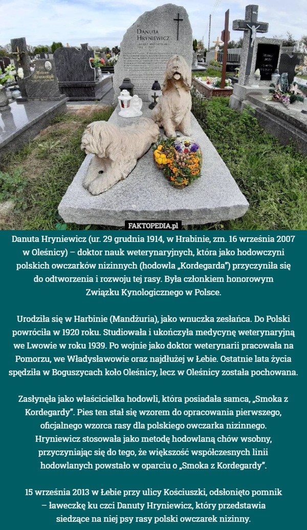 Danuta Hryniewicz (ur. 29 grudnia 1914, w Hrabinie, zm. 16 września 2007
 w Oleśnicy) – doktor nauk weterynaryjnych, która jako hodowczyni polskich owczarków nizinnych (hodowla „Kordegarda”) przyczyniła się
 do odtworzenia i rozwoju tej rasy. Była członkiem honorowym
 Związku Kynologicznego w Polsce.

Urodziła się w Harbinie (Mandżuria), jako wnuczka zesłańca. Do Polski powróciła w 1920 roku. Studiowała i ukończyła medycynę weterynaryjną we Lwowie w roku 1939. Po wojnie jako doktor weterynarii pracowała na Pomorzu, we Władysławowie oraz najdłużej w Łebie. Ostatnie lata życia spędziła w Boguszycach koło Oleśnicy, lecz w Oleśnicy została pochowana.

Zasłynęła jako właścicielka hodowli, która posiadała samca, „Smoka z Kordegardy”. Pies ten stał się wzorem do opracowania pierwszego, oficjalnego wzorca rasy dla polskiego owczarka nizinnego.
 Hryniewicz stosowała jako metodę hodowlaną chów wsobny,
 przyczyniając się do tego, że większość współczesnych linii
 hodowlanych powstało w oparciu o „Smoka z Kordegardy”.

15 września 2013 w Łebie przy ulicy Kościuszki, odsłonięto pomnik
 – ławeczkę ku czci Danuty Hryniewicz, który przedstawia
 siedzące na niej psy rasy polski owczarek nizinny. 