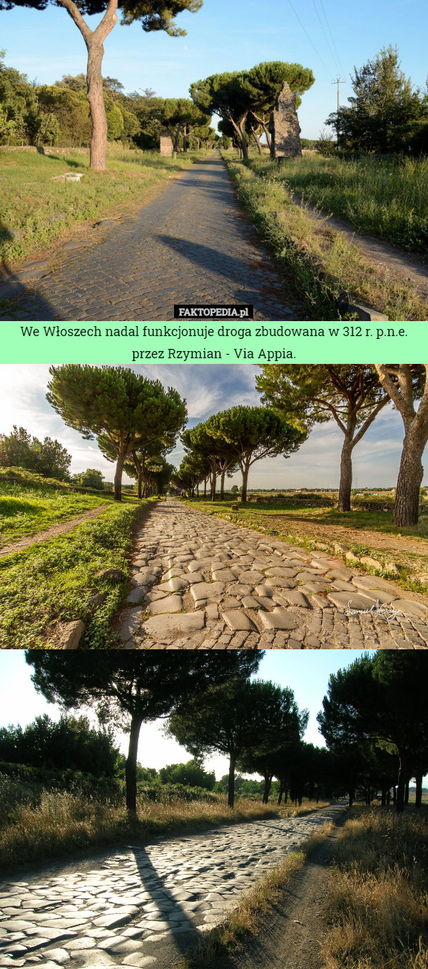 We Włoszech nadal funkcjonuje droga zbudowana w 312 r. p.n.e.
 przez Rzymian - Via Appia. 