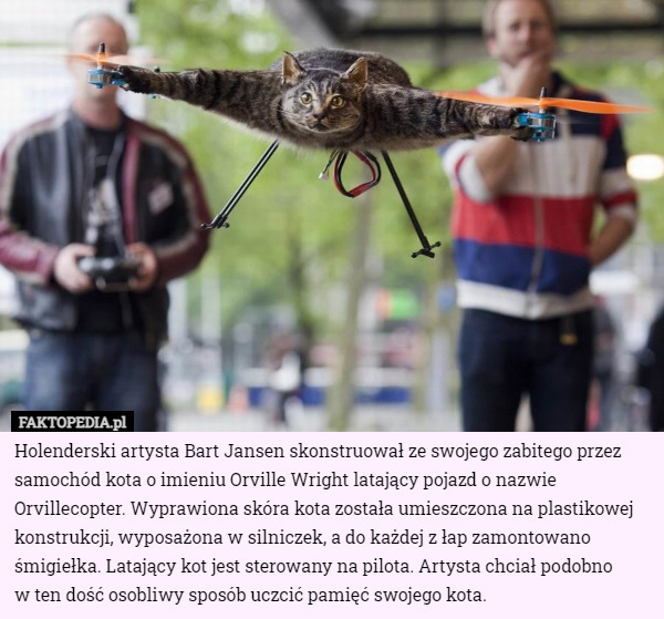 Holenderski artysta Bart Jansen skonstruował ze swojego zabitego przez samochód kota o imieniu Orville Wright latający pojazd o nazwie Orvillecopter. Wyprawiona skóra kota została umieszczona na plastikowej konstrukcji, wyposażona w silniczek, a do każdej z łap zamontowano śmigiełka. Latający kot jest sterowany na pilota. Artysta chciał podobno
 w ten dość osobliwy sposób uczcić pamięć swojego kota. 