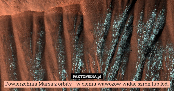 Powierzchnia Marsa z orbity - w cieniu wąwozów widać szron lub lód. 