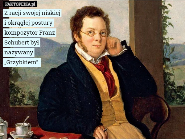 Z racji swojej niskiej
i okrągłej postury
kompozytor Franz
Schubert był
nazywany
„Grzybkiem”. 
