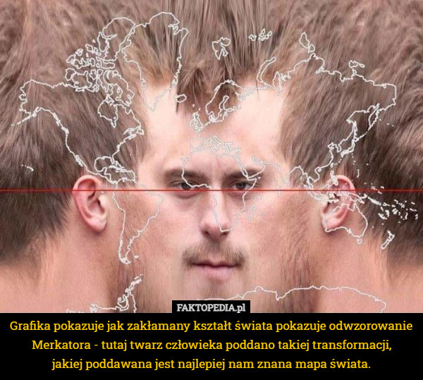 Grafika pokazuje jak zakłamany kształt świata pokazuje odwzorowanie Merkatora - tutaj twarz człowieka poddano takiej transformacji,
 jakiej poddawana jest najlepiej nam znana mapa świata. 