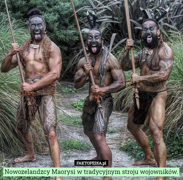 Nowozelandzcy Maorysi w tradycyjnym stroju wojowników. 