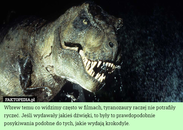 Wbrew temu co widzimy często w filmach, tyranozaury raczej nie potrafiły ryczeć. Jeśli wydawały jakieś dźwięki, to były to prawdopodobnie posykiwania podobne do tych, jakie wydają krokodyle. 