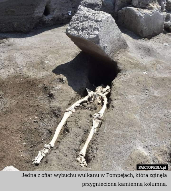 Jedna z ofiar wybuchu wulkanu w Pompejach, która zginęła przygnieciona kamienną kolumną. 