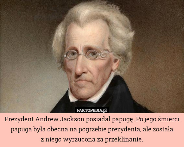 Prezydent Andrew Jackson posiadał papugę. Po jego śmierci papuga była obecna na pogrzebie prezydenta, ale została
z niego wyrzucona za przeklinanie. 
