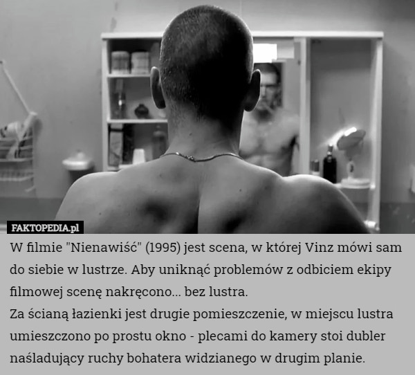 W filmie "Nienawiść" (1995) jest scena, w której Vinz mówi sam do siebie w lustrze. Aby uniknąć problemów z odbiciem ekipy filmowej scenę nakręcono... bez lustra.
Za ścianą łazienki jest drugie pomieszczenie, w miejscu lustra umieszczono po prostu okno - plecami do kamery stoi dubler naśladujący ruchy bohatera widzianego w drugim planie. 