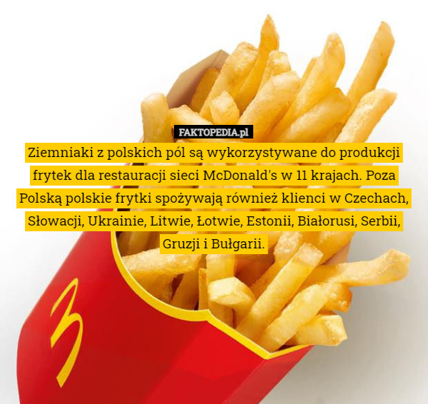 Ziemniaki z polskich pól są wykorzystywane do produkcji frytek dla restauracji sieci McDonald's w 11 krajach. Poza Polską polskie frytki spożywają również klienci w Czechach, Słowacji, Ukrainie, Litwie, Łotwie, Estonii, Białorusi, Serbii, Gruzji i Bułgarii. 