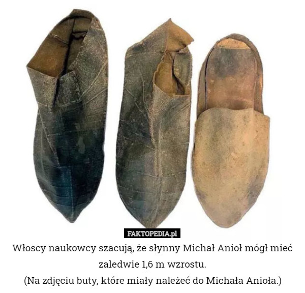 Włoscy naukowcy szacują, że słynny Michał Anioł mógł mieć zaledwie 1,6 m wzrostu.
(Na zdjęciu buty, które miały należeć do Michała Anioła.) 