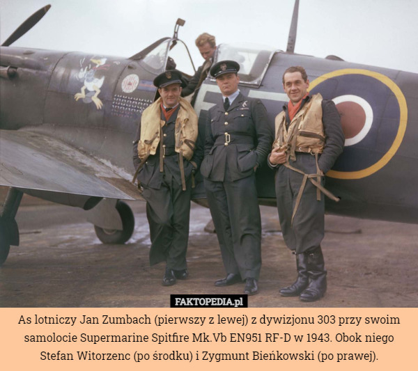 As lotniczy Jan Zumbach (pierwszy z lewej) z dywizjonu 303 przy swoim samolocie Supermarine Spitfire Mk.Vb EN951 RF-D w 1943. Obok niego Stefan Witorzenc (po środku) i Zygmunt Bieńkowski (po prawej). 