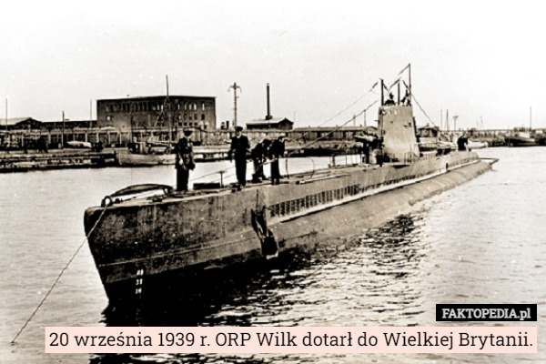 20 września 1939 r. ORP Wilk dotarł do Wielkiej Brytanii. 