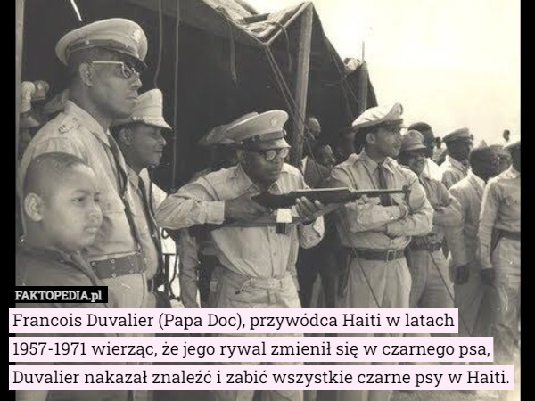 Francois Duvalier (Papa Doc), przywódca Haiti w latach 1957-1971 wierząc, że jego rywal zmienił się w czarnego psa, Duvalier nakazał znaleźć i zabić wszystkie czarne psy w Haiti. 
