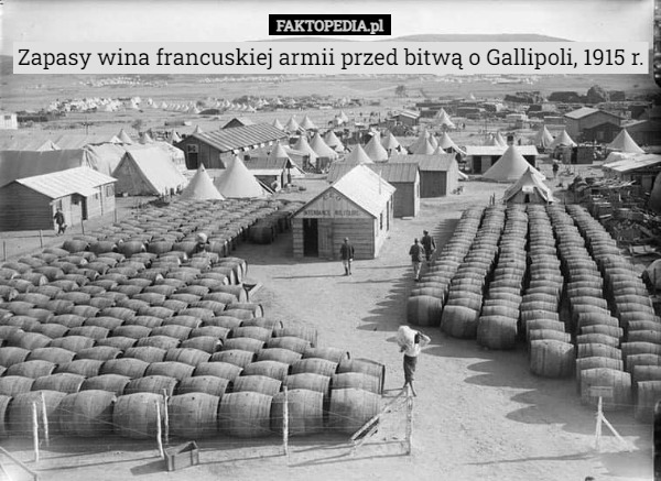 Zapasy wina francuskiej armii przed bitwą o Gallipoli, 1915 r. 