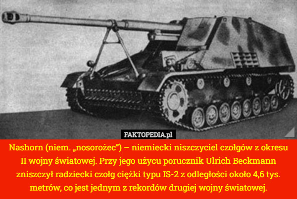 Nashorn (niem. „nosorożec”) – niemiecki niszczyciel czołgów z okresu II wojny światowej. Przy jego użycu porucznik Ulrich Beckmann zniszczył radziecki czołg ciężki typu IS-2 z odległości około 4,6 tys. metrów, co jest jednym z rekordów drugiej wojny światowej. 
