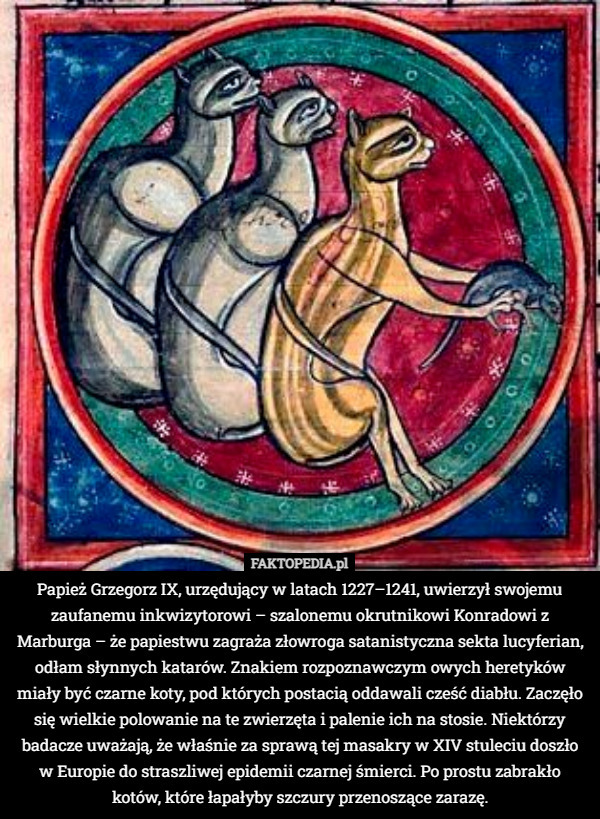 Papież Grzegorz IX, urzędujący w latach 1227–1241, uwierzył swojemu zaufanemu inkwizytorowi – szalonemu okrutnikowi Konradowi z Marburga – że papiestwu zagraża złowroga satanistyczna sekta lucyferian, odłam słynnych katarów. Znakiem rozpoznawczym owych heretyków miały być czarne koty, pod których postacią oddawali cześć diabłu. Zaczęło się wielkie polowanie na te zwierzęta i palenie ich na stosie. Niektórzy badacze uważają, że właśnie za sprawą tej masakry w XIV stuleciu doszło w Europie do straszliwej epidemii czarnej śmierci. Po prostu zabrakło kotów, które łapałyby szczury przenoszące zarazę. 