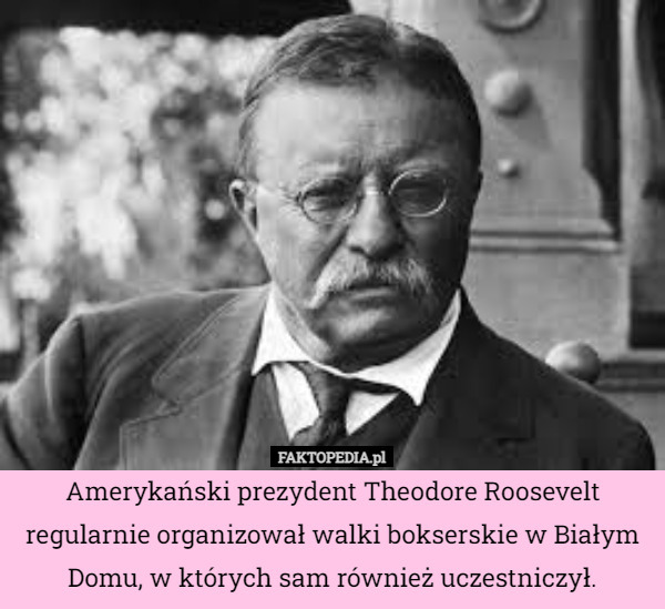 Amerykański prezydent Theodore Roosevelt regularnie organizował walki bokserskie w Białym Domu, w których sam również uczestniczył. 