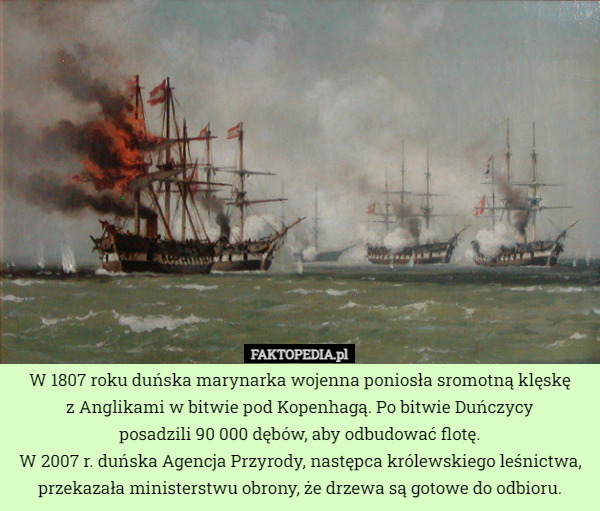 W 1807 roku duńska marynarka wojenna poniosła sromotną klęskę
 z Anglikami w bitwie pod Kopenhagą. Po bitwie Duńczycy
 posadzili 90 000 dębów, aby odbudować flotę.
W 2007 r. duńska Agencja Przyrody, następca królewskiego leśnictwa, przekazała ministerstwu obrony, że drzewa są gotowe do odbioru. 