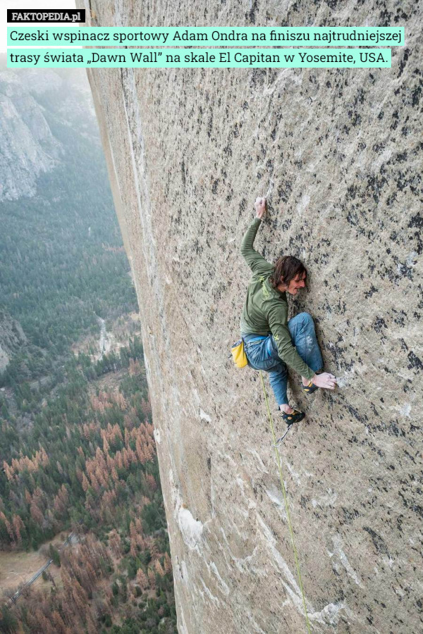 Czeski wspinacz sportowy Adam Ondra na finiszu najtrudniejszej trasy świata „Dawn Wall” na skale El Capitan w Yosemite, USA. 
