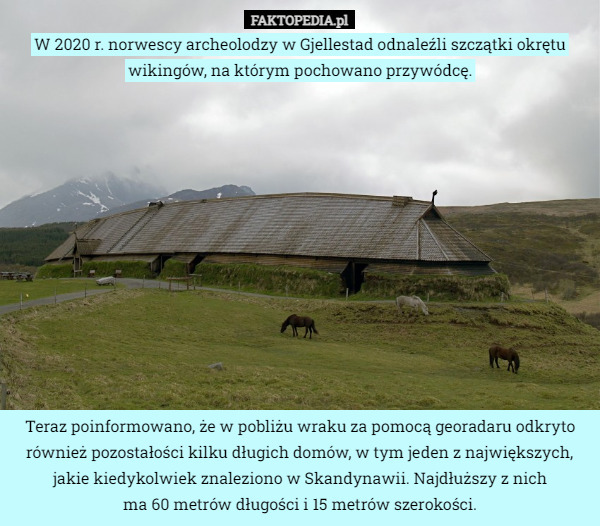 W 2020 r. norwescy archeolodzy w Gjellestad odnaleźli szczątki okrętu wikingów, na którym pochowano przywódcę. Teraz poinformowano, że w pobliżu wraku za pomocą georadaru odkryto również pozostałości kilku długich domów, w tym jeden z największych, jakie kiedykolwiek znaleziono w Skandynawii. Najdłuższy z nich
 ma 60 metrów długości i 15 metrów szerokości. 