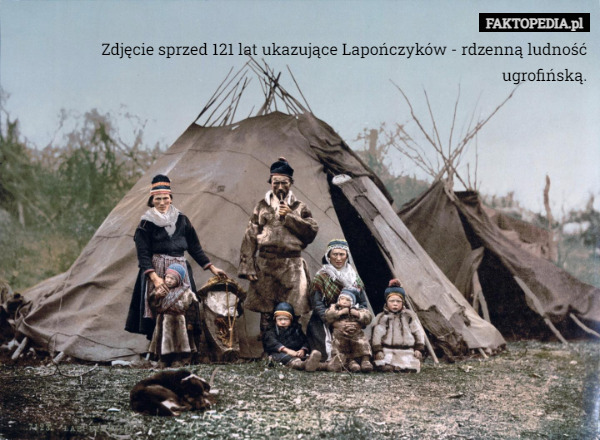 Zdjęcie sprzed 121 lat ukazujące Lapończyków - rdzenną ludność ugrofińską. 